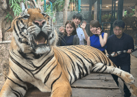 nomado2026-08-photo05